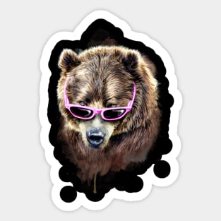 Cool Bear Sticker